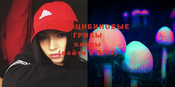 ECSTASY Заводоуковск
