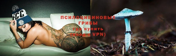 твердый Зеленодольск