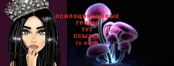 МДПВ Заволжье