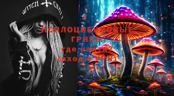 МДПВ Заволжье
