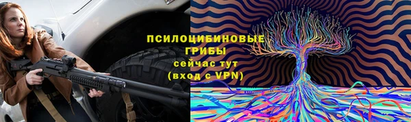 ECSTASY Заводоуковск