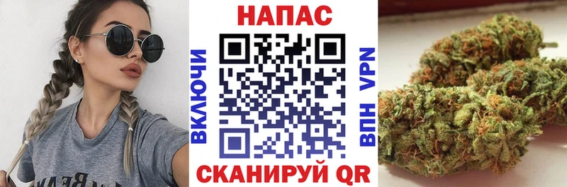 Шишки марихуана планчик  Купить закладки  Афипский 